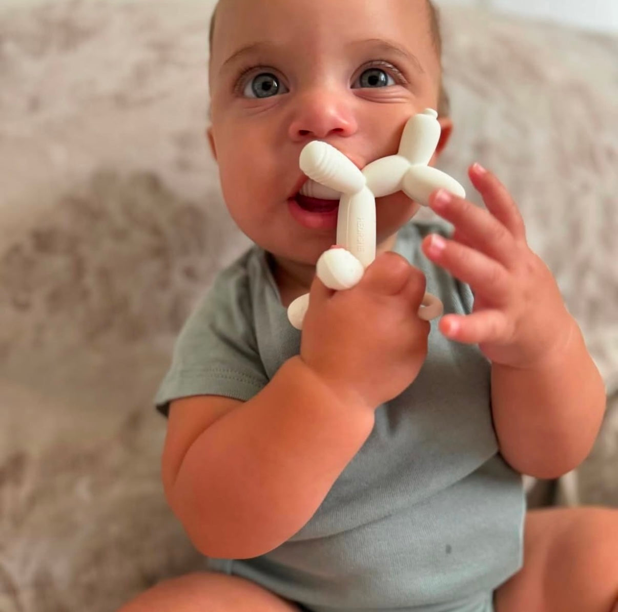 Puppy Teether (Weiß)